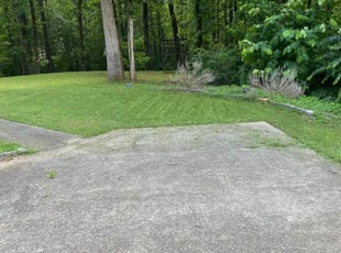 Aron L.'s Lawn Service service result