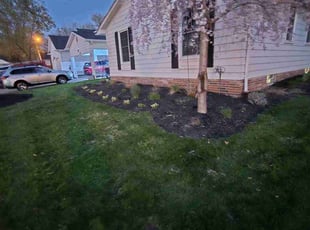 Lesley K.'s Lawn Care service result