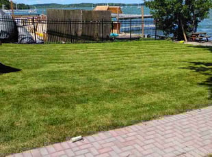 Marcos S.'s Lawn Mowing service result
