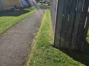 Matthew H.'s Lawn Maintenance service result