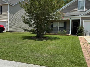 Tabitha B.'s Lawn Care service result