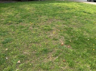Cleanups by Kevin Corbin for Josh S. in Chattanooga, TN