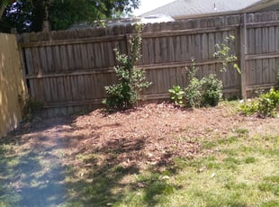 Cleanups by Marvin White for Christopher R. in Virginia Beach, VA