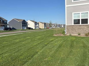 Andrew S.'s Lawn Mowing service result