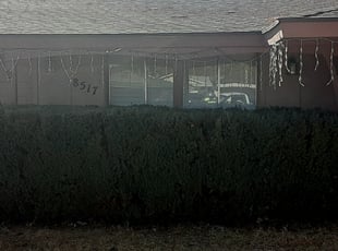 Bush Trimming by Gideon Cook for Andrea F. in Phoenix, AZ