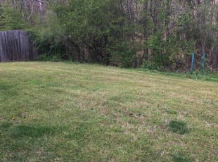Leaf Removal by Jason Carpenter for Erica J. in Raleigh, NC