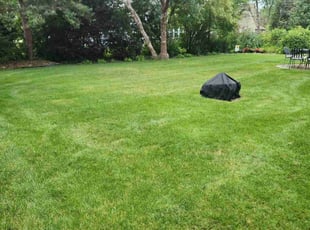 John M.'s Grass Cutting service result
