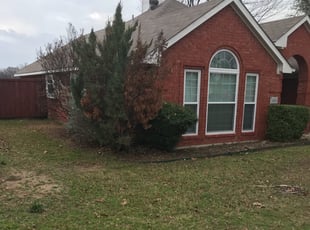Cleanups by Robert Garcia for Sue M. in Frisco, TX
