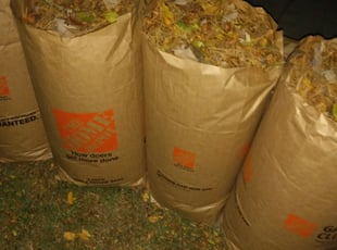 Leaf Removal by Shawn Spiess for Mathew W. in Eden Prairie, MN