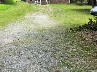 Weeding by Caitlin Hough for Rahmann W. in Durham, NC
