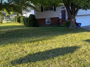 Leaf Removal by Robert Brookes for David M. in Saint Charles, MO