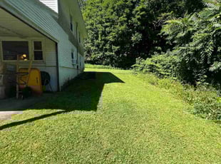 LaShey R.'s Lawn Mowing Service service result