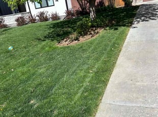 Lucie V.'s Lawn Maintenance service result