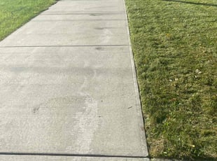 Steve A.'s Lawn Service service result