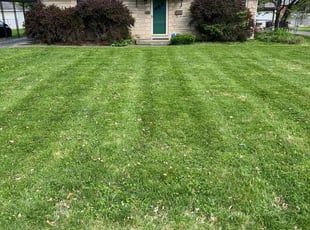 Yvonne E.'s Lawn Mowing Service service result