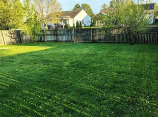 Shomari F.'s Yard Cutting service result