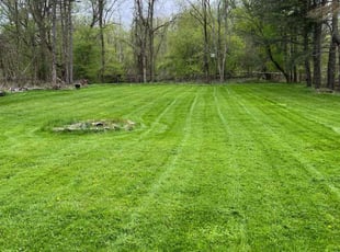 Joan B.'s Lawn Service service result