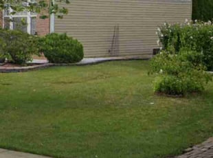 Anita S.'s Lawn Service service result