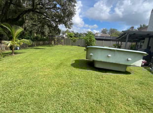 Tabitha S.'s Lawn Mowing service result