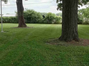 Kevin L.'s Grass Cutting service result