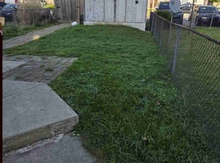 Edward T.'s Lawn Service service result
