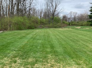 Allison R.'s Lawn Service service result