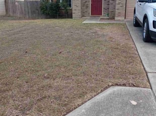 Alba P.'s Yard Cutting service result