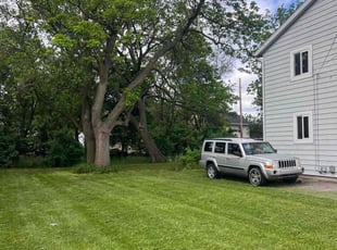 Riley H.'s Lawn Mowing Service service result