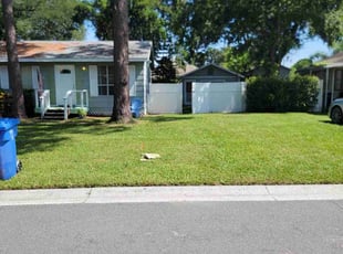 Dylan R.'s Lawn Mowing service result