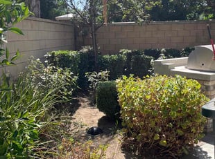 Bush Trimming by Samuel Benavides for Jason S. in Rancho Cucamonga, CA