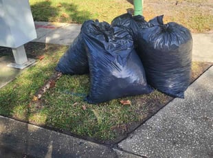 Leaf Removal by Carlos Arocho for Barbara S. in Lake Mary, FL