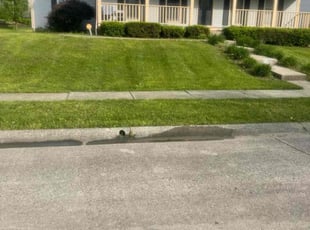 Abu A.'s Lawn Care service result