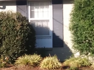 Bush Trimming by Brian Rose for Ann Marie H. in Nashville, TN