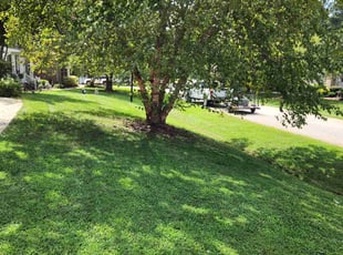 Louis P.'s Lawn Service service result