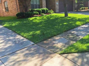 Cristina C.'s Lawn Service service result