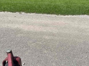 Alexandra A.'s Lawn Mowing service result