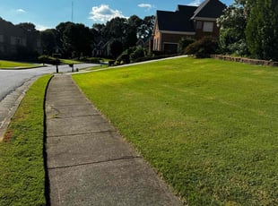 Teresa P.'s Grass Cutting service result