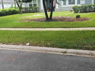 Thelma S.'s Yard Cutting service result