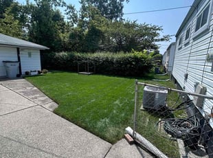 Nayoun L.'s Lawn Mowing service result