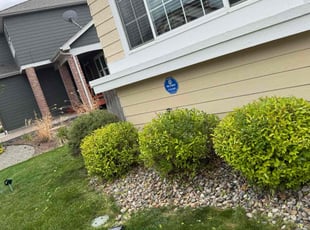 Bush Trimming by Julio A Rojas for Kelli G. in Arvada, CO