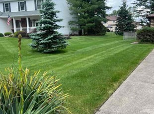 Gerald G.'s Lawn Service service result