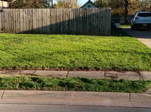 Vanliencia B.'s Lawn Care service result
