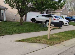 Dan b.'s Yard Cutting service result