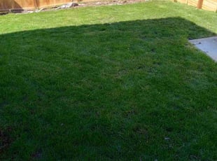 Margret R.'s Lawn Service service result