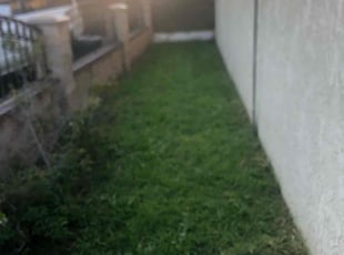Kim J.'s Lawn Mowing service result