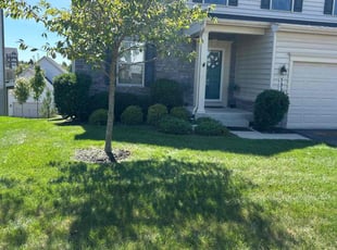 Megan M.'s Lawn Mowing service result