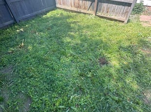 Cleanups by Rhett Lambas for Matthew M. in Denver, CO