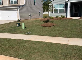 Lana C.'s Lawn Mowing service result