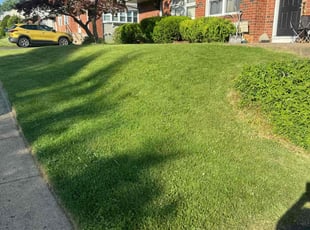David S.'s Lawn Maintenance service result