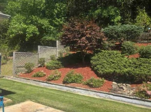 Marina and Jerry W.'s Lawn Mowing service result